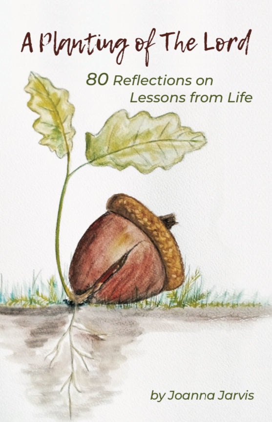 A Planting of the Lord: 80 Reflections on Lessons from Life, by Joanna Jarvis