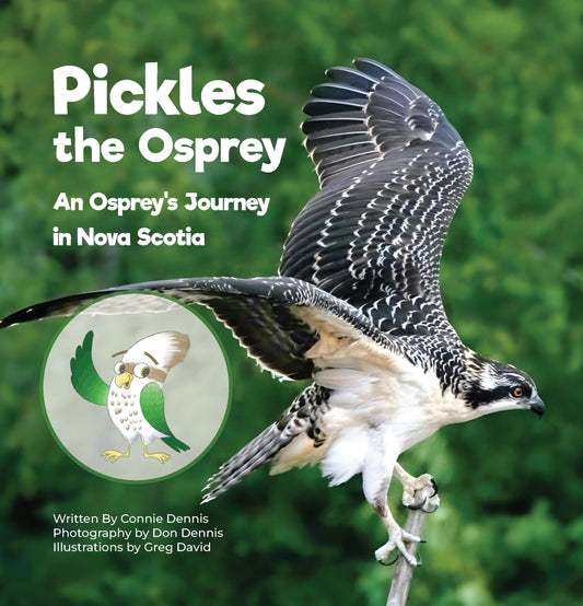 Pickles the Osprey, by Connie Dennis